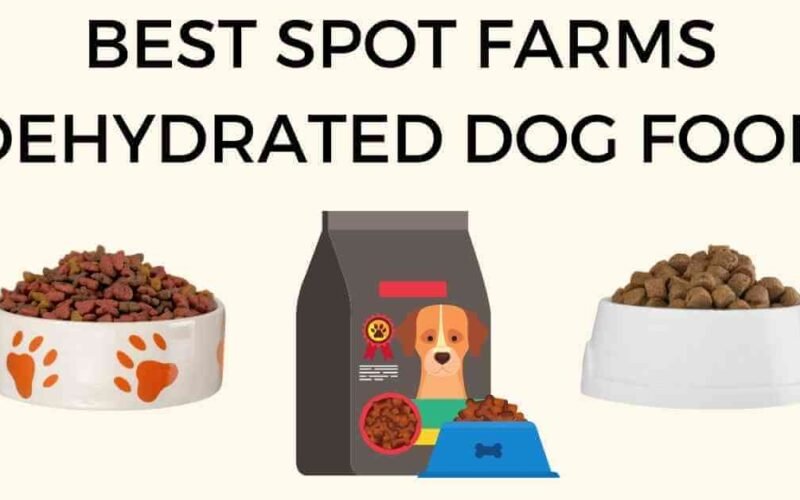 The Best Spot Farms Dehydrated Dog Food 5 best spot farms dehydrated dog food