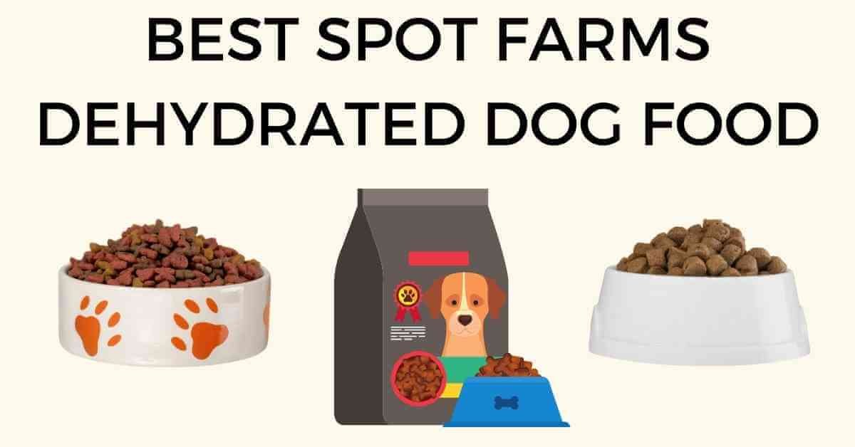 The Best Spot Farms Dehydrated Dog Food 40 best spot farms dehydrated dog food