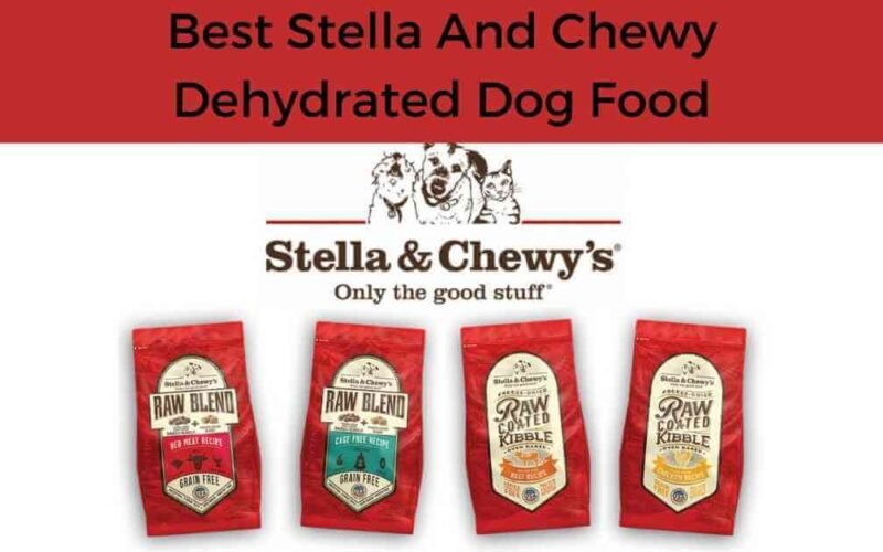10 Best Stella And Chewy Dehydrated Dog Food 5 best stella and chewy dehydrated dog food