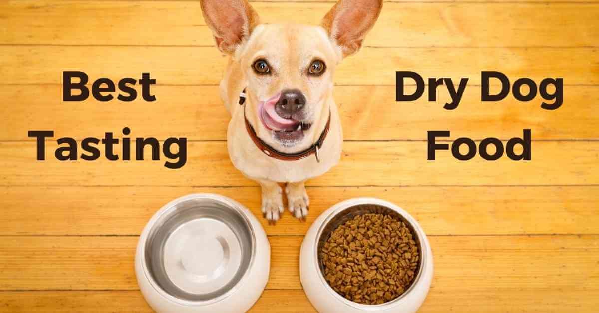 10 Best Tasting Dry Dog Food in 2022 135 best tasting dry dog food
