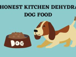 Best The Honest Kitchen Dehydrated Dog Food 64 best the honest kitchen dehydrated dog food