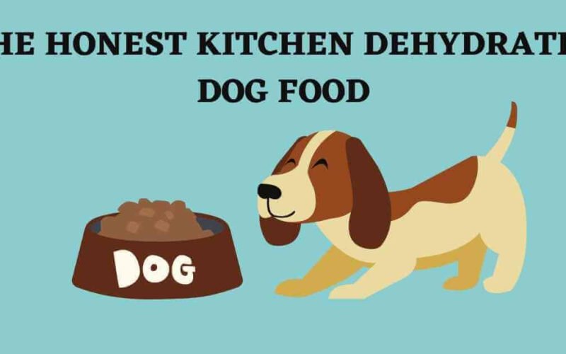 Best The Honest Kitchen Dehydrated Dog Food 5 best the honest kitchen dehydrated dog food