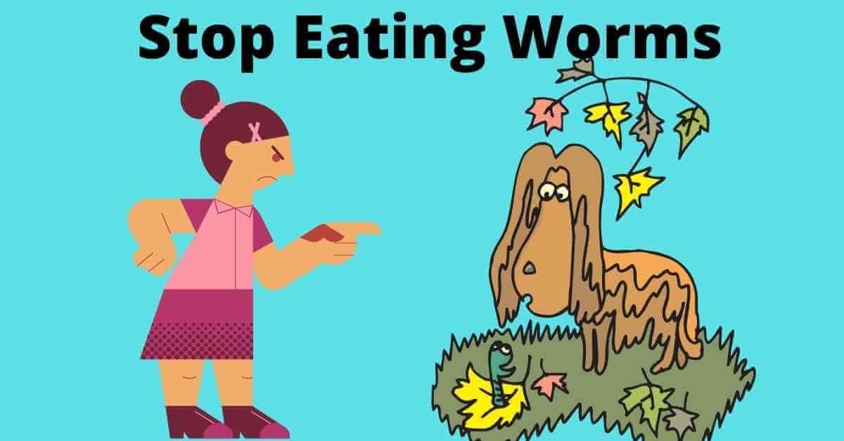 how do i stop my dog from eating worms