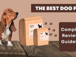 The Best Food for Dogs | Complete Review With Guideline 18 the best food for dogs