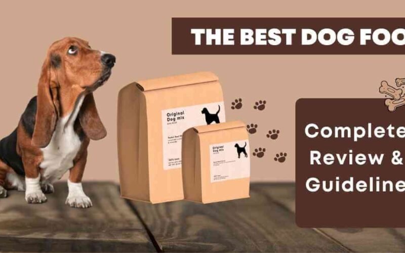 The Best Food for Dogs | Complete Review With Guideline 5 the best food for dogs