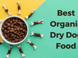 10 Best Organic Dry Dog Food in 2022 74 best organic dry dog food