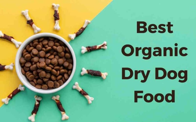 10 Best Organic Dry Dog Food in 2022 5 best organic dry dog food
