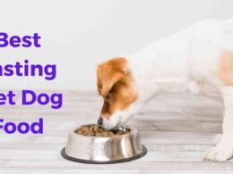 Top 10 Best Tasting Wet Dog Food in 2022 28 best tasting wet dog food