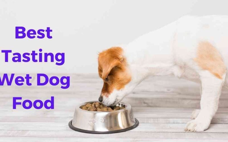Top 10 Best Tasting Wet Dog Food in 2022 5 best tasting wet dog food