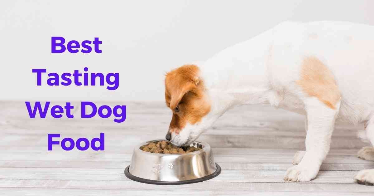 Top 10 Best Tasting Wet Dog Food in 2022 37 best tasting wet dog food