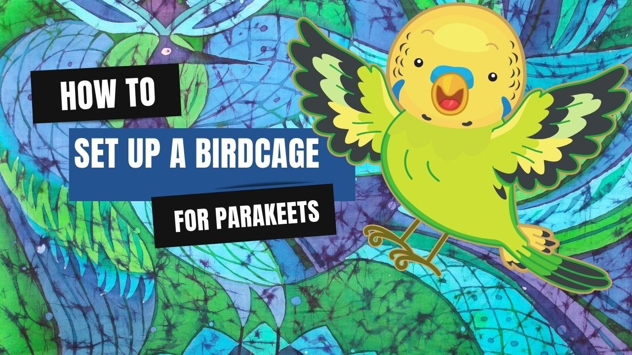 How to Set Up a Birdcage for Parakeets 26 Set Up a Birdcage for Parakeets