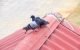 Will Aluminum Foil Keep Birds Away? 5 Will Aluminum Foil Keep Birds Away?
