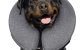 Top 10 Best Cone Pillow For Dogs in 2022 5 Top 10 Best Cone Pillow For Dogs in 2022