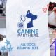 Can I Register My Apri Dog With Akc 7 Can I Register My Apri Dog With Akc