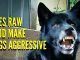 Does Feeding Your Dog Raw Meat Make Them Aggressive