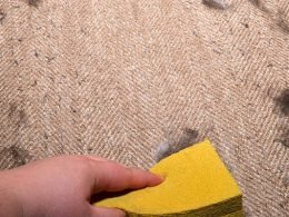 Best Way To Remove Dog Hair From Bedding
