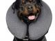 Top 10 Best Pillow Cone For Dogs in 2022 72 Top 10 Best Pillow Cone For Dogs in 2022