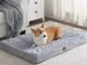 Top 10 Best Dog Beds With Removable Covers in 2022