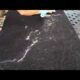 How to Get Dog Hair Out of Blankets 8 How to Get Dog Hair Out of Blankets