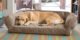 Does Orvis Sell Replacement Dog Bed Covers 26 Does Orvis Sell Replacement Dog Bed Covers