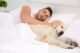 Can Dogs Sleep Under the Bed Covers 27 Can Dogs Sleep Under the Bed Covers