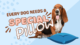 Why Every Dog Needs a Special Pillow