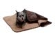 Top 10 Best Dog Blanket For Chewers in 2022 5 Dog Blanket For Chewers