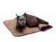 Top 10 Best Dog Blanket For Chewers in 2022 22 Dog Blanket For Chewers