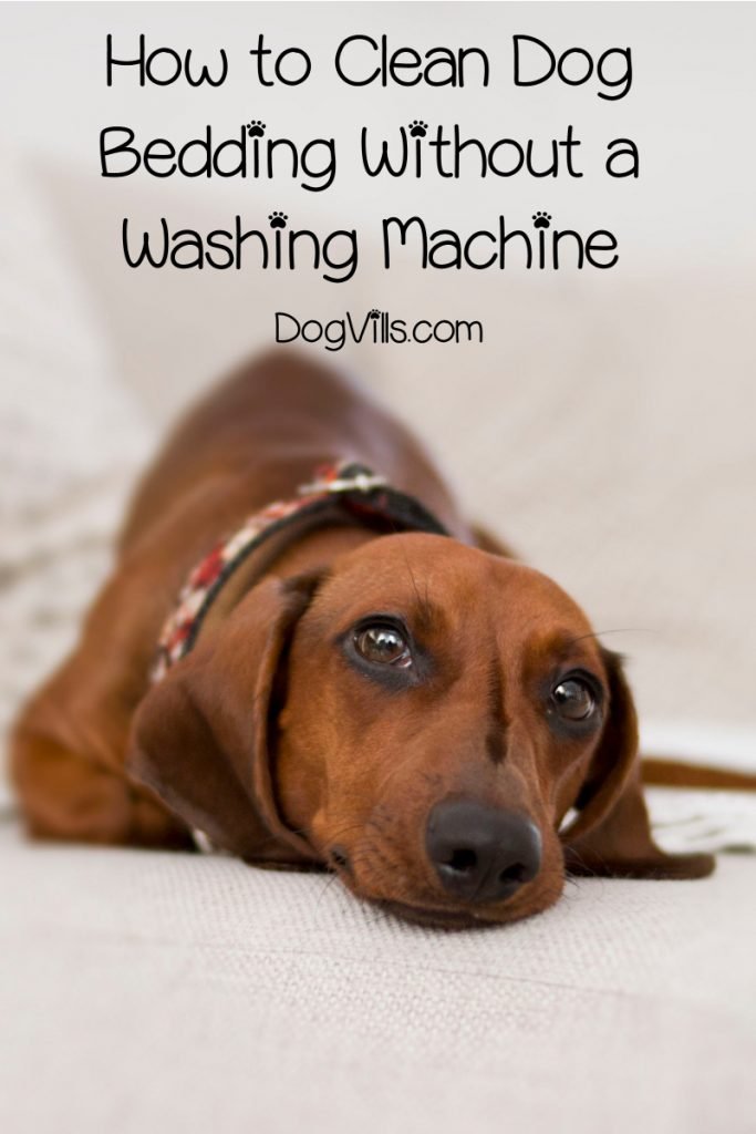 can you clean dog bedding with vinegar