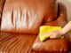 How to Get Dog Pee Out of Leather Sofa 53 How to Get Dog Pee Out of Leather Sofa