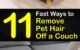 How to Remove Dog Hair From Fabric Sofa 5 How to Remove Dog Hair From Fabric Sofa