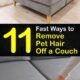 How to Remove Dog Hair From Fabric Sofa 27 How to Remove Dog Hair From Fabric Sofa