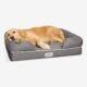 Where to Buy Dog Beds 7 Where to Buy Dog Beds