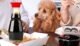 What's the best sauce for your Dogs 161 What's the best sauce for your Dogs