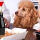 What's the best sauce for your Dogs