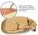 Dog Smegma: Causes, Symptoms & Treatment 6 Dog Smegma: Causes, Symptoms & Treatment