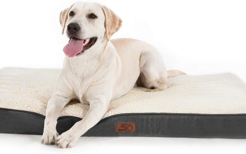 Foam Mat for Dog Bed