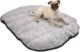Where to Donate Used Dog Beds Near Me