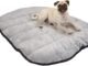 Where to Donate Used Dog Beds Near Me