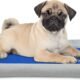 How to Add Cooling Mat to Dog Bed 7 How to Add Cooling Mat to Dog Bed