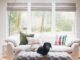 How to Keep a Fabric Sofa Clean With Dogs