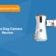Dog Cameras: Pros And Cons