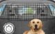 The Best Dog Barrier For Car 5 The Best Dog Barrier For Car