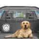 The Best Dog Barrier For Car
