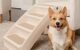 The Best Frisco Dog Stairs 5 The Best Frisco Dog Stairs