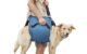 The Best Dog Lift For Stairs 5 The Best Dog Lift For Stairs