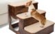 The Best Wooden Dog Stairs 5 The Best Wooden Dog Stairs