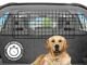 The Best Dog Car Barrier