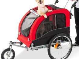 Choose the Perfect Dog Bicycle Carrier