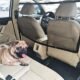 The Best Dog Car Divider 26 The Best Dog Car Divider